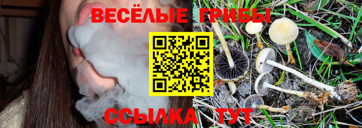 Галлюциногенные грибы ЛСД  Вход с VPN  Галлюциногенные грибы MAGIC MUSHROOMS  Клин 