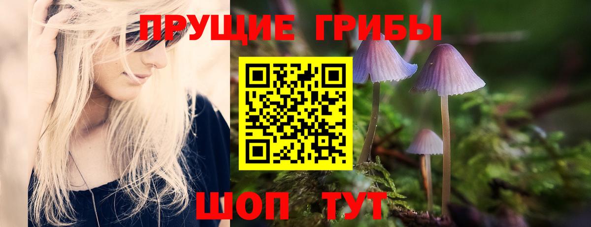 Галлюциногенные грибы GOLDEN TEACHER Клин